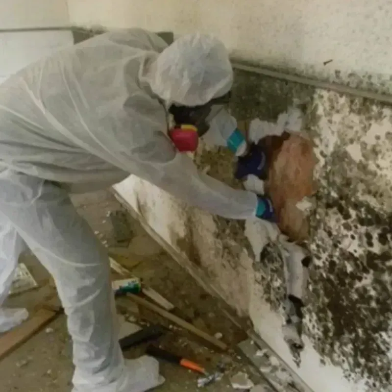 Mold Remediation and Removal in Baldwinsville, NY