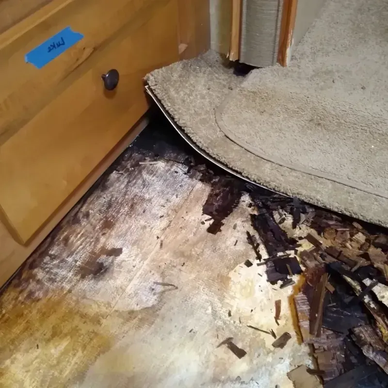 Wood Floor Water Damage in Baldwinsville, NY